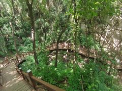 -大岭沟猕猴桃谷风景区