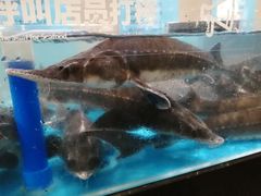 -岁宝Shirble plaza(龙珠店)