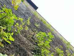 -南京城墙景区