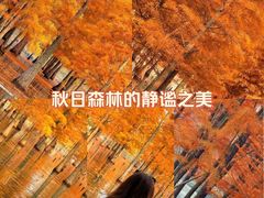 -白鹭湾湿地公园