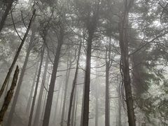 -东白山