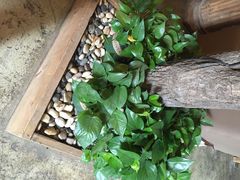 后院咖啡(虹桥坊店)-Bco豆库(星耀天地店)