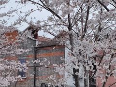 -自然博物馆(地铁站)