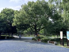 -范蠡湖公园