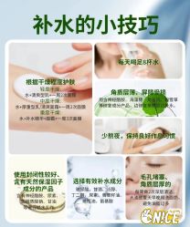 点击看大图 -玛莲朵·海菲秀冰珀科