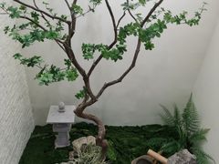 -五峰书院(南洋泾路店)