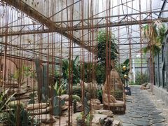 -桉树林A coffee 森林餐厅(三圣乡店)