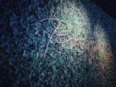 -TEMPO 音乐(五角场店)