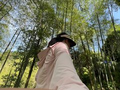 -石台牯牛降景区
