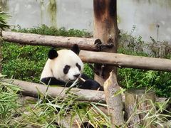 -黔灵山公园