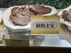 -河南自然博物馆