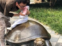 -宁波儿童公园(鄞州区)