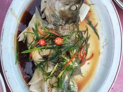 -大班家政月嫂育儿嫂(深圳NO.1店)