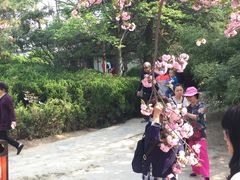-西安青龙寺遗址景区