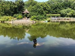 -广州市帽峰山景区