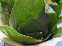 -南门四季铜锅涮肉(大屯·北苑店)