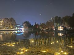 -朝阳公园游乐园