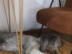 -沏点Trattoria意大利餐厅(新街口店)