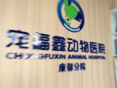 -宠福鑫康馨动物医院·骨科·眼科