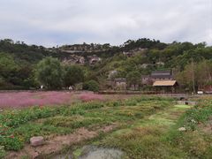 -蛇蟠岛