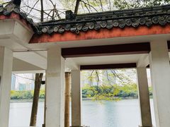 -南宁南湖公园