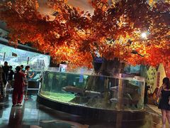 -成都浩海立方海洋公园