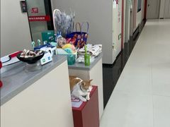 -御宝贝24h宠物医院·转诊中心·CT核磁血透中心(厦门总院)