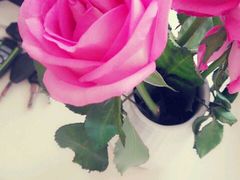 android_upload_pic-花木兰花艺MULAN(温馨花园店)