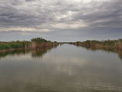 -亿利库布其七星湖沙漠生态旅游区