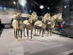 -秦始皇帝陵博物院-丽山园