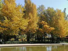 -玲珑塔公园