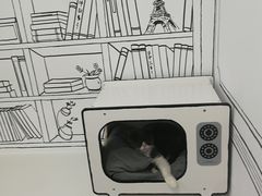 -白夜2D咖啡馆
