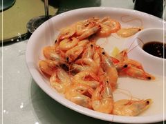 -苏州太湖假日酒店