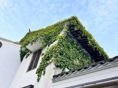 -枣子树·素食餐厅(普陀山店)
