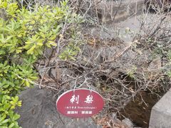 -广元千佛崖
