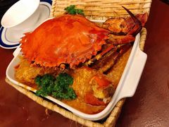 -茉莉.Red Crab