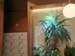 -奈雪的茶(石家庄万象城店)