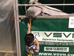 -李振强马术运动推广中心(南城店)