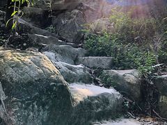 -南山植物园