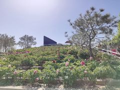 -太阳宫公园