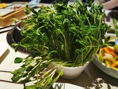 豌豆苗-浩爷羊蝎子火锅(望京店)