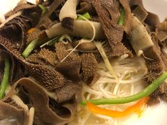 捞起黑牛柏叶-汇兴源餐馆(小北路店)