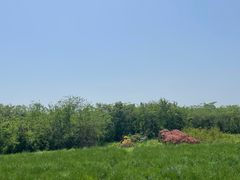 -盘龙城国家考古遗址公园