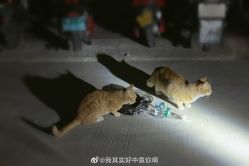 点击看大图 -ON STAR SALON