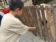 -保定市动物园