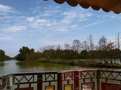 -大湾区中央湿地公园
