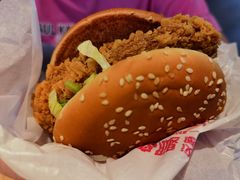 麦辣鸡腿汉堡-麦当劳(燕顺路店)