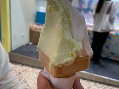 -柠檬车露(卖草地店)
