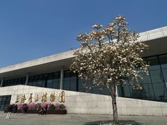 -广富林郊野公园
