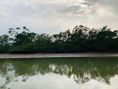 -东寨港红树林旅游区